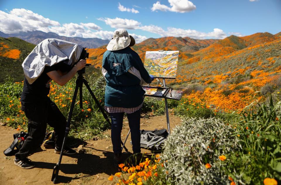 A man photographs a woman painting the super bloom of wild poppies blanketing the hills of Walker Canyon (Getty Images)