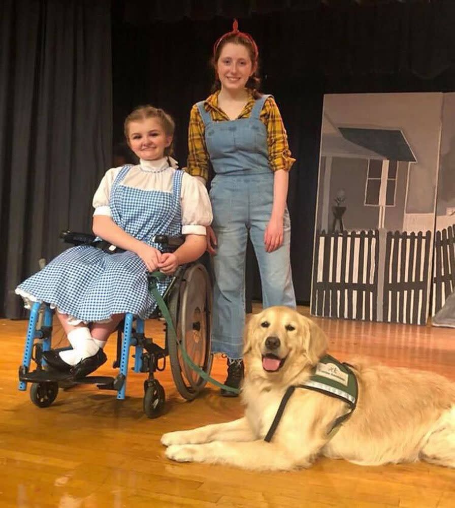 Gauge the 6-year-old golden retriever serves as a mobility dog for Erin Bischoff