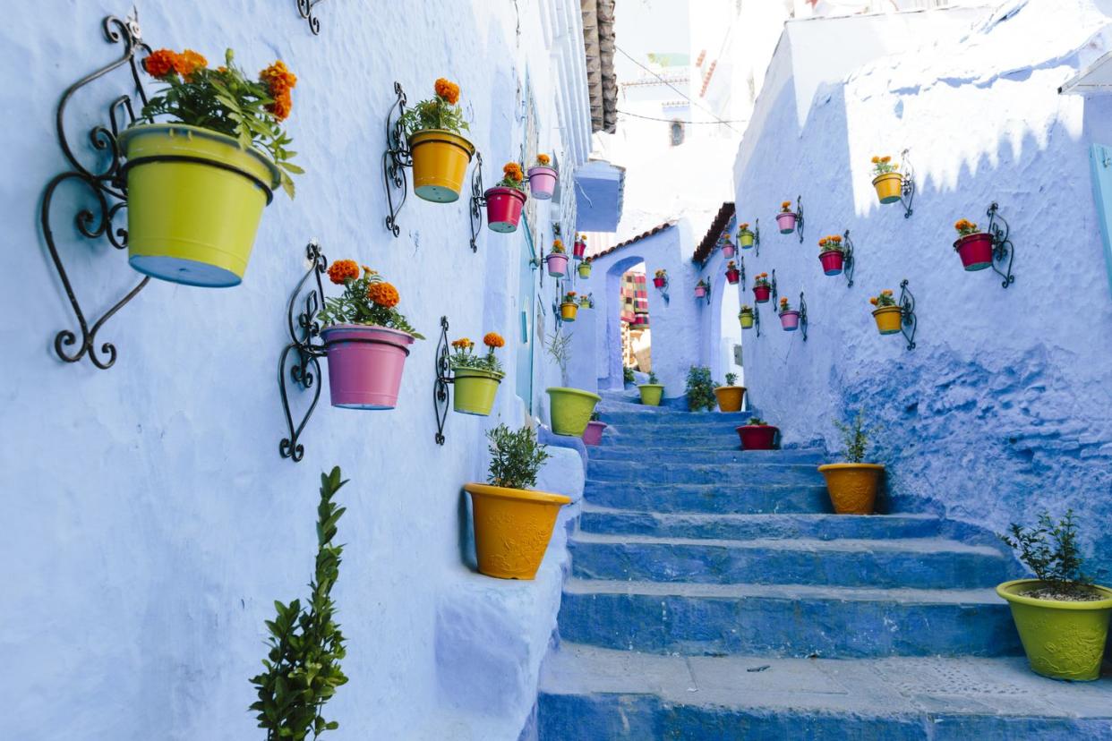 blue staircase colourful flowerpots, chefchaouen