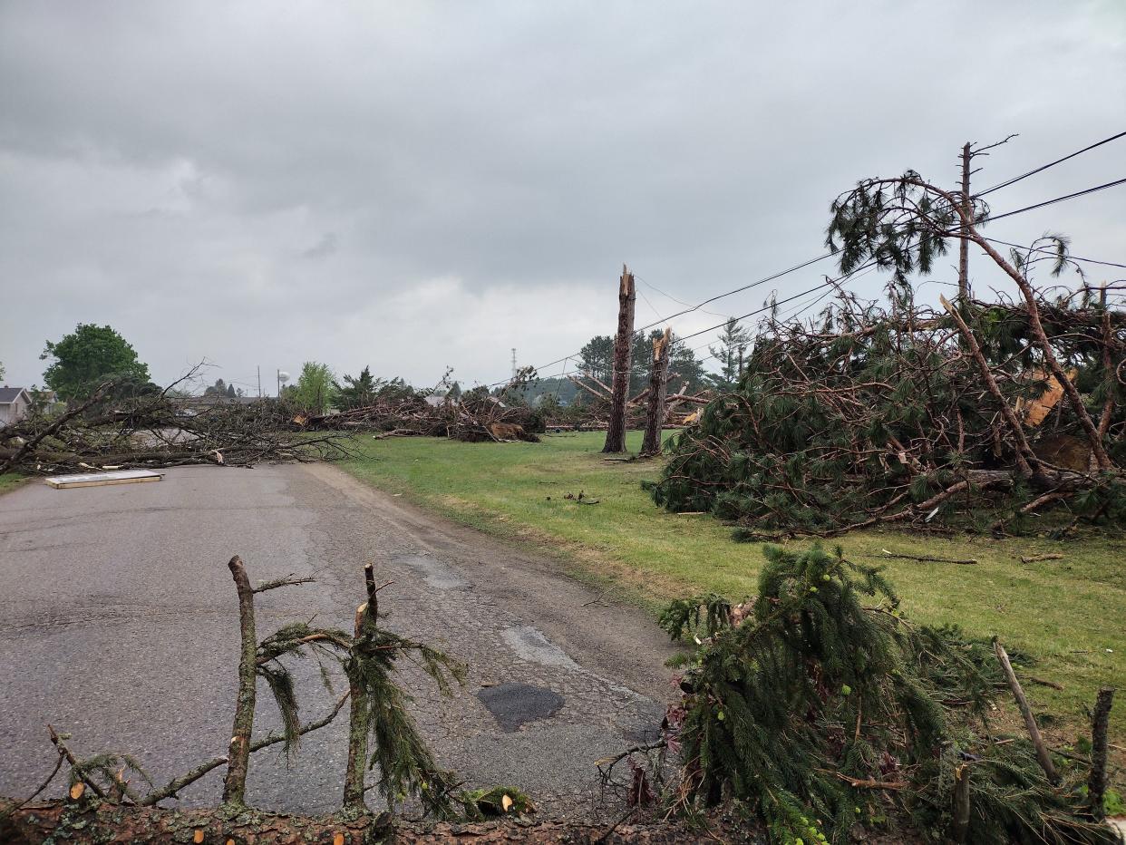 Pictured are some downed trees along Illinois Avenue near Petoskey Street after the May 20 tornado. The Gaylord Long Term Recovery Group will work with Huron Pines to replace some of the trees and shrubs lost in the storm.