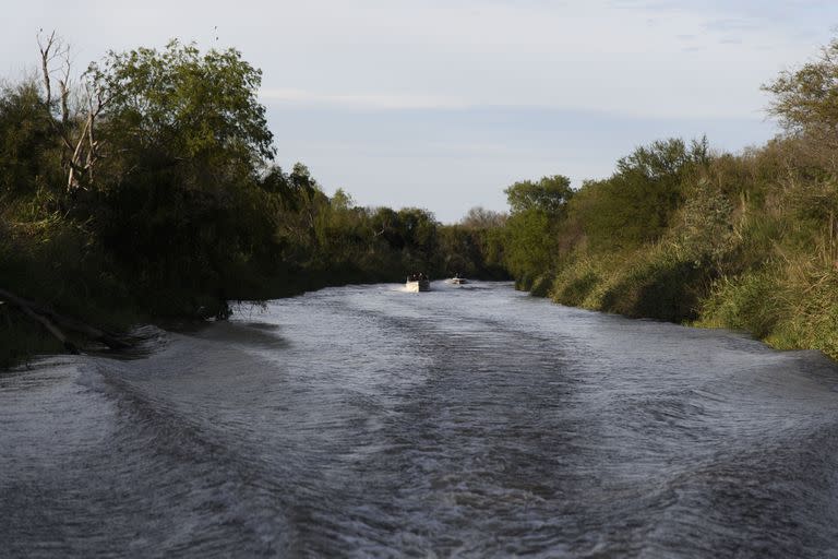 La navegación para acceder al parque insular dura 40 minutos
