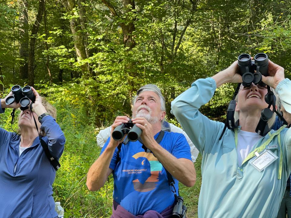 Birders peer into the treetops during a Smokies Life Members Weekend event in September 2022.