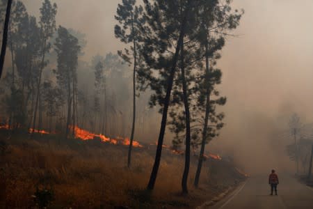 Firefighters help to put out a forest fire in Chaveira