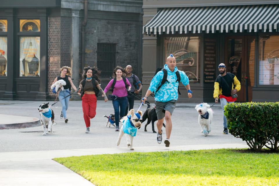 Contestants Donna Modafferi and her pup Charlie, far left, Mitra Najibeh Yosri and Bozley, Lucy Riles and Duchess, Daniel Reese and Allister, Kioni "Kentucky" Russell Gallahue and Derby, and Josh White and Snow race toward their goal in Amazon's new global competition, "The Pack."