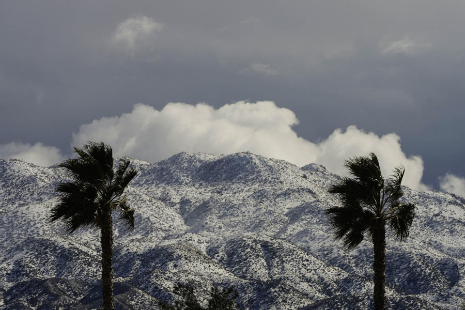 Two palms trees are backdropped by snow-covered mountains in Hesperia, Calif., Wednesday, March 1, 2023. (AP Photo/Jae C. Hong)