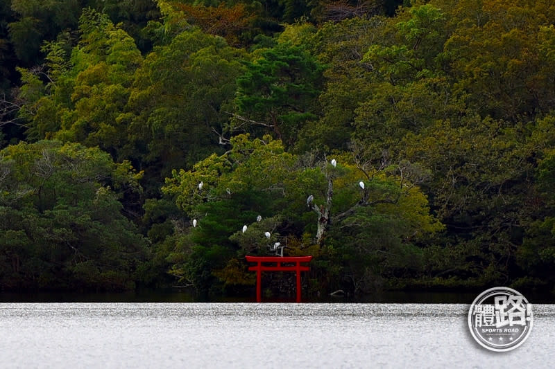 2020東京奧運,tokyo2020,跟著小編遊東奧,伊豆,伊東,一碧湖