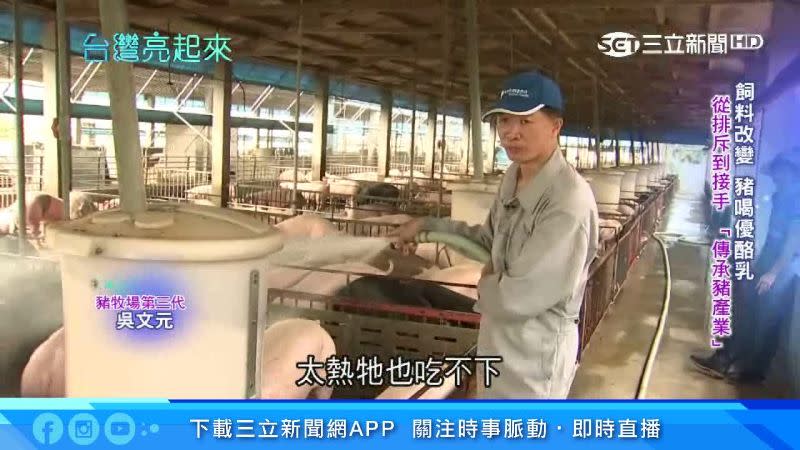 吳文元用純殼物飼料加入益生菌餵食豬隻，並減少用水量。