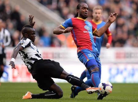 Camerone Jerome (right) during an English Premier League soccer match at St James' Park, northern England March 22, 2014. REUTERS/Nigel Roddis