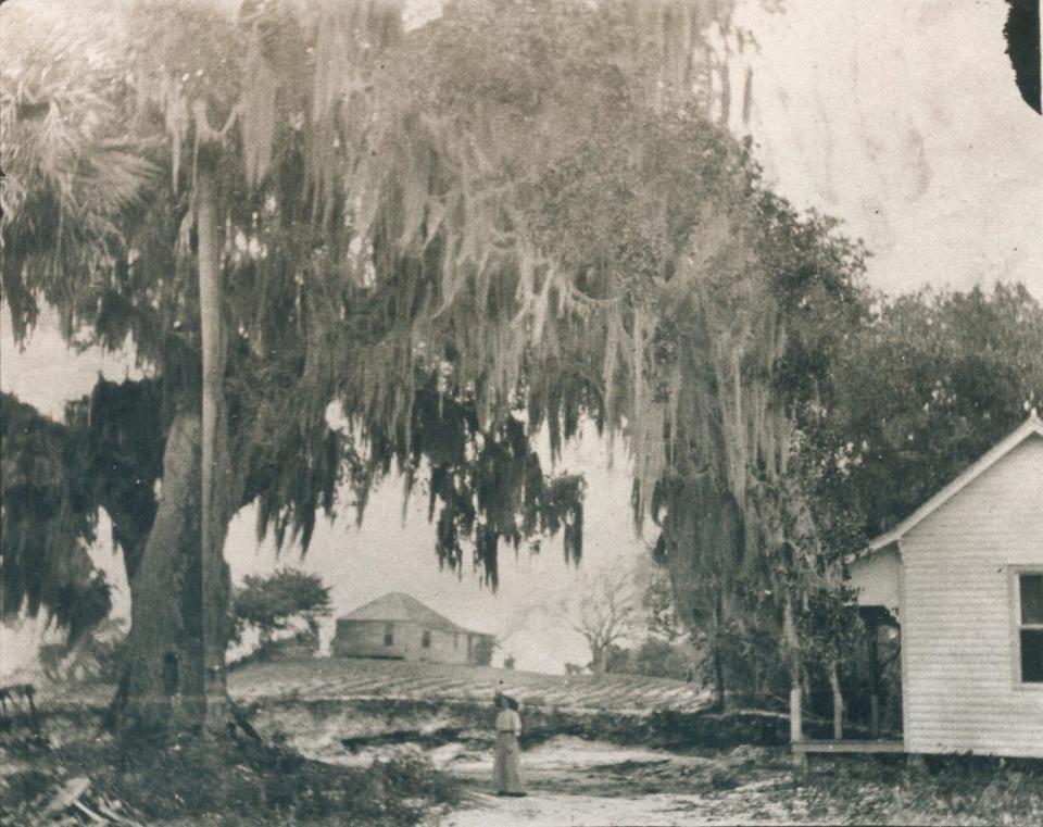 The wife of Paul Kroegel at Barker's Bluff in 1910. A large Ais Indian shell mound known as Barker’s Bluff, it was located on the side of the Indian River and south of the small fishing community of Newhaven. In 1884 Newhaven would be renamed Sebastian and was part of Brevard County.