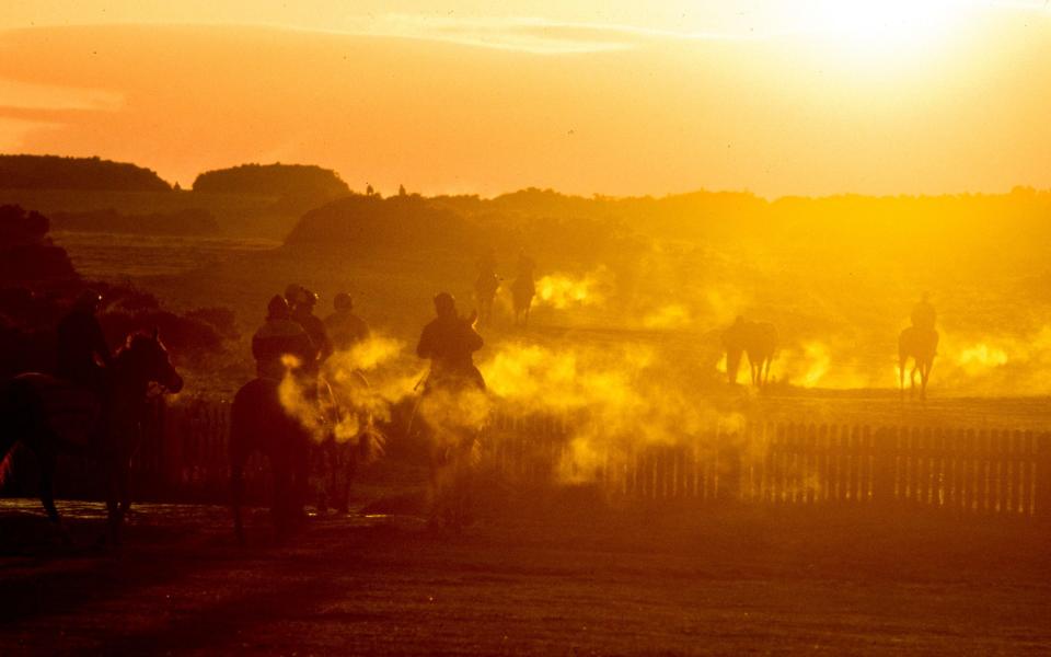 Exercise on the Curragh, 1988