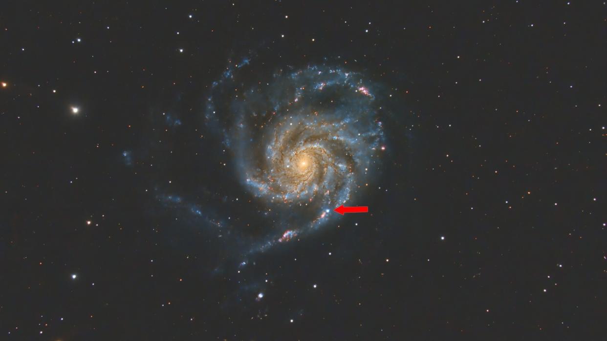  A stellar explosion in the Pinwheel Galaxy is the closest observed in five years. 