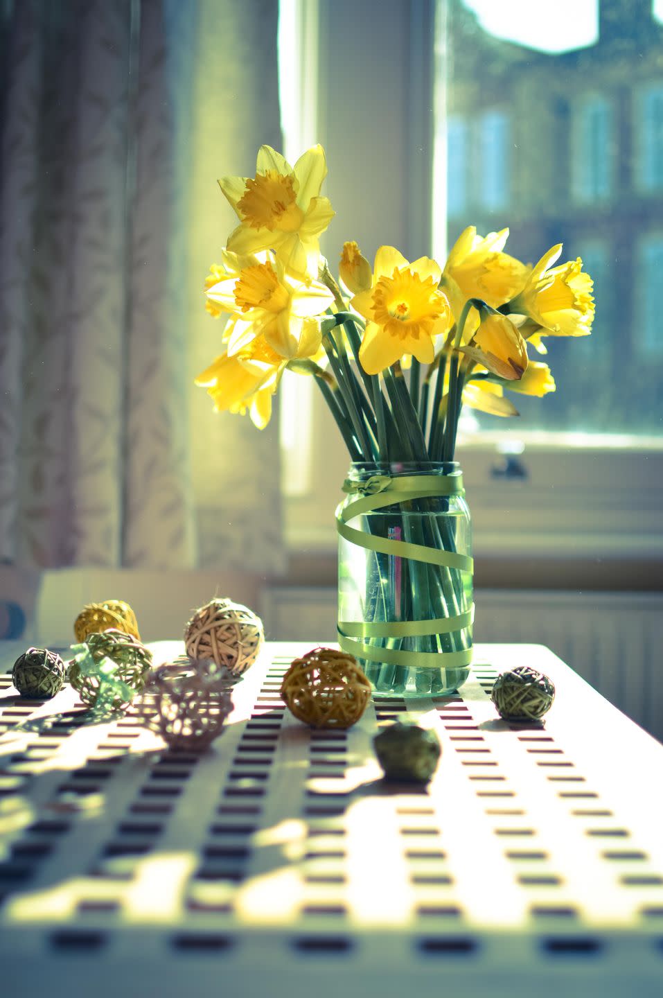<p>Daffodils are the celebration of a decade of marriage. It's a reminder of memories shared and the many exciting years still ahead. </p>
