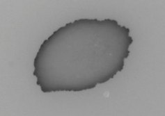 <span class="caption">A water mark appears due to “pinning” of the droplet edge on a rough solid surface.</span> <span class="attribution"><span class="source">Author provided</span></span>