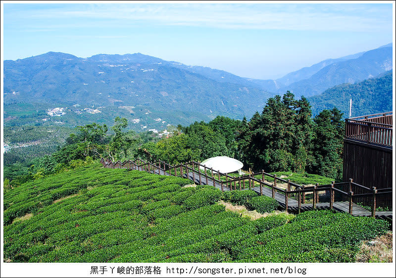 【嘉義】龍山國小 太興岩步道 交力坪車站