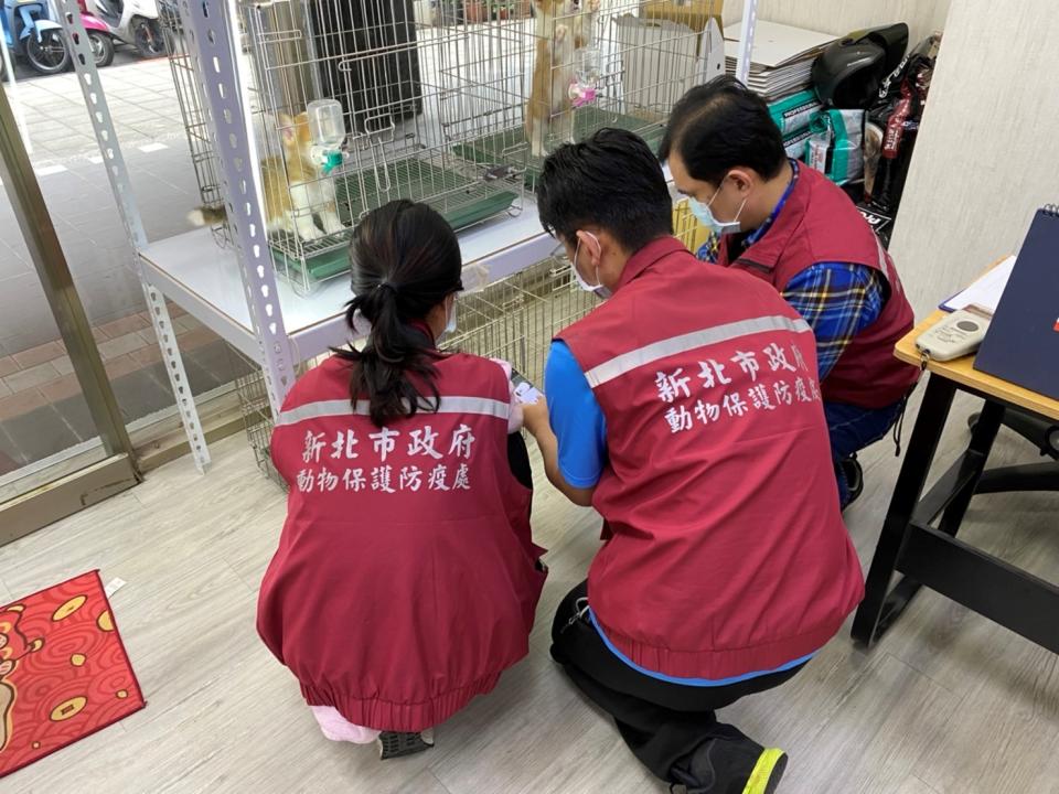 現場犬隻一一查驗身分來源。   圖：新北市動保處提供