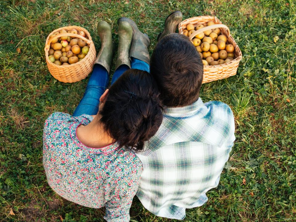 apple picking couple