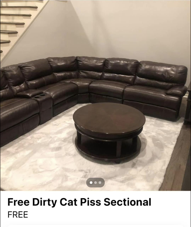 Sectional couch with cat pee stains — "free"