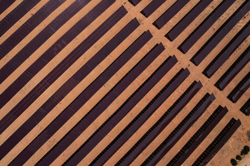 FILE PHOTO: Solar panels are pictured at a solar energy park in Saelices