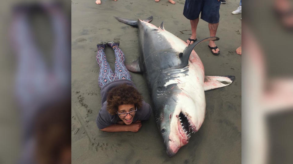 Giancarlo Thomae snapped this photo of his colleauge posing next to the washed up shark, unaware of the controversy it was about to cause. Source: Facebook / Giancarlo Thomae