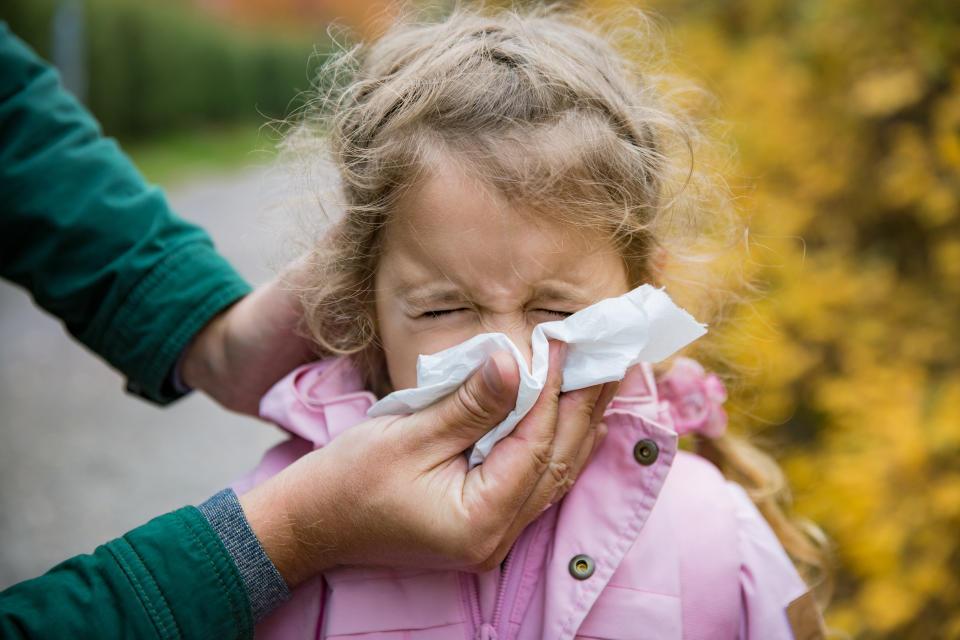 Influenza, isolato il primo caso a Parma: è una bambina di 6 anni