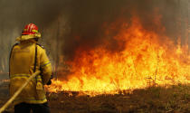 Firefighters work to contain a bushfire along Old Bar road in Old Bar, Saturday, Nov. 9, 2019. Wildfires razing Australia's drought-stricken east coast have left two people dead and several missing, more than 30 injured and over 150 homes destroyed, officials said Saturday.(Darren Pateman/AAP Image via AP)