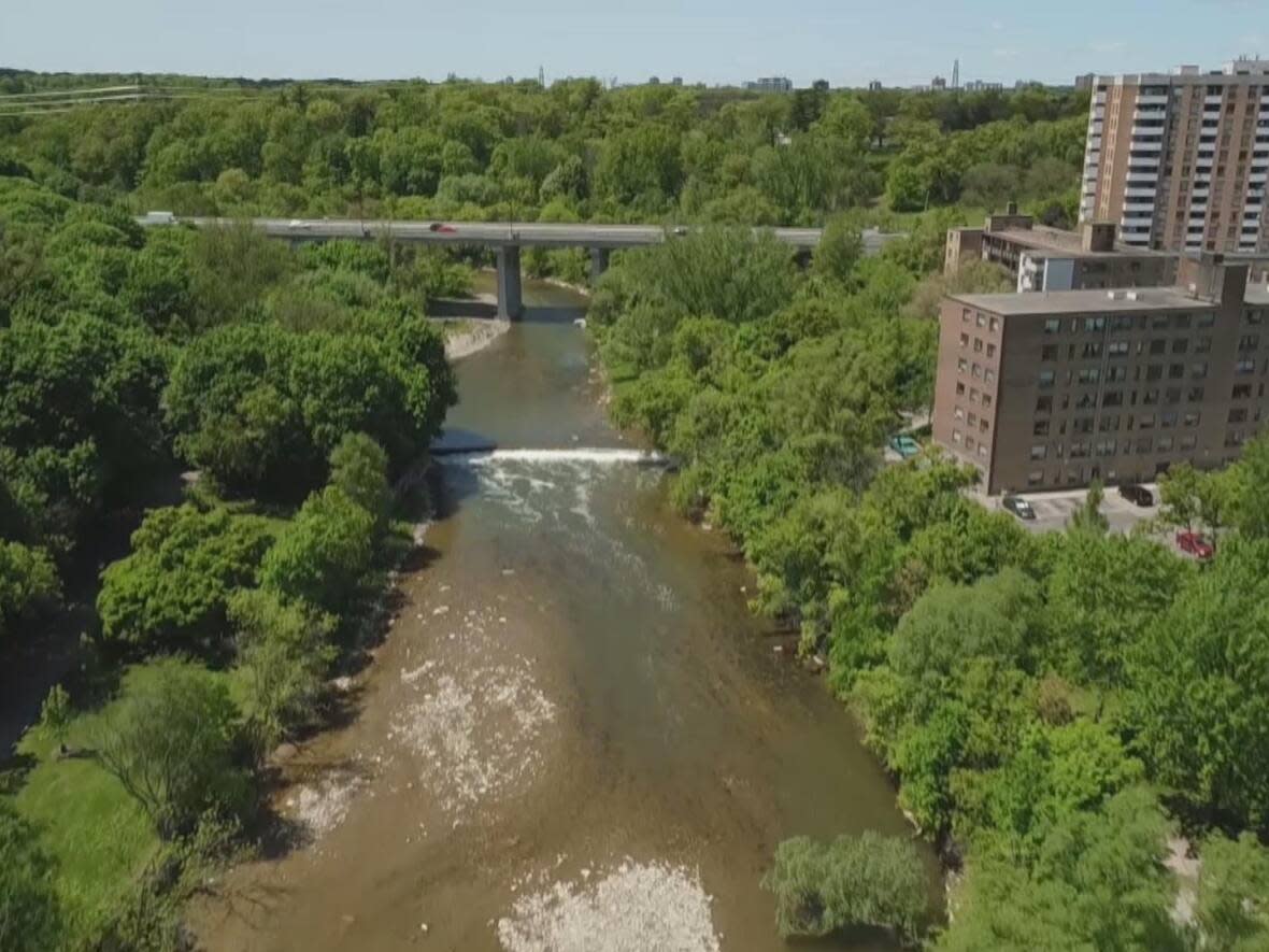 Black Creek, which runs through the Rockcliffe area, is prone to flooding during heavy rainstorms, city staff noted during a meeting last week. Council was discussing a motion to provide money to homeowners in the area with basement flooding damage. (CBC - image credit)