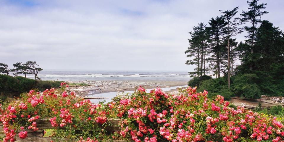 Olympic National Park — Washington