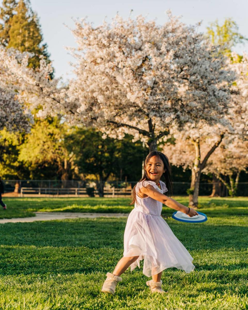 The hanami experience in Japan involves cherry blossom viewing. The Sacramento Tree Foundation