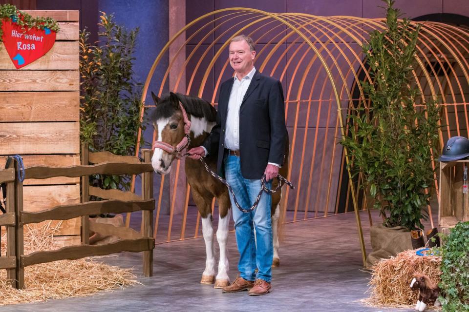 Wie süß: Gründer Konrad ließ sich bei seiner "Clever Horse Clip"-Produktvorstellung von Pony Rosa begleiten. (Bild: RTL / Bernd-Michael Maurer)