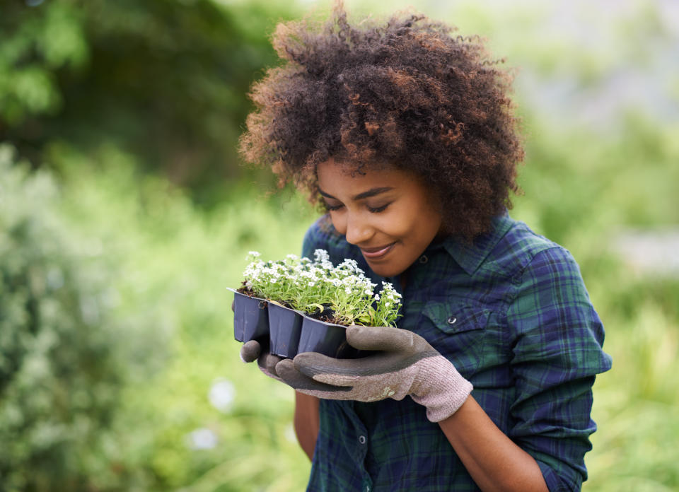 Shot of a happy young woman holding a tray of seedlings for the garden