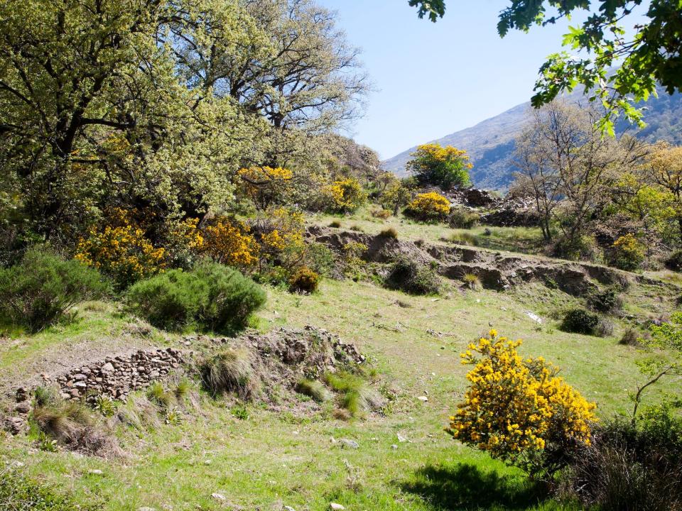 Landscape of the River Rio Poqueira gorge valley.