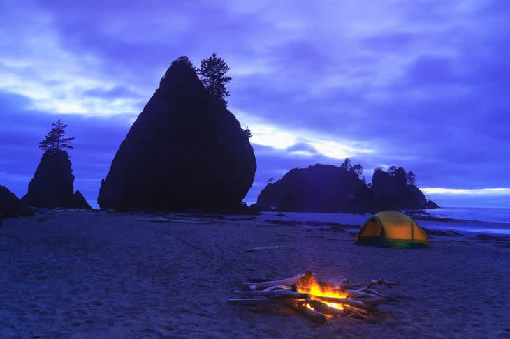 Point of the Arches, Olympic National Park, WA Coast, USA <span class="o-credit u-space--quarter--left">Photo: Steve Whiston-Fallen Log Photography/Moment via Getty Images</span>