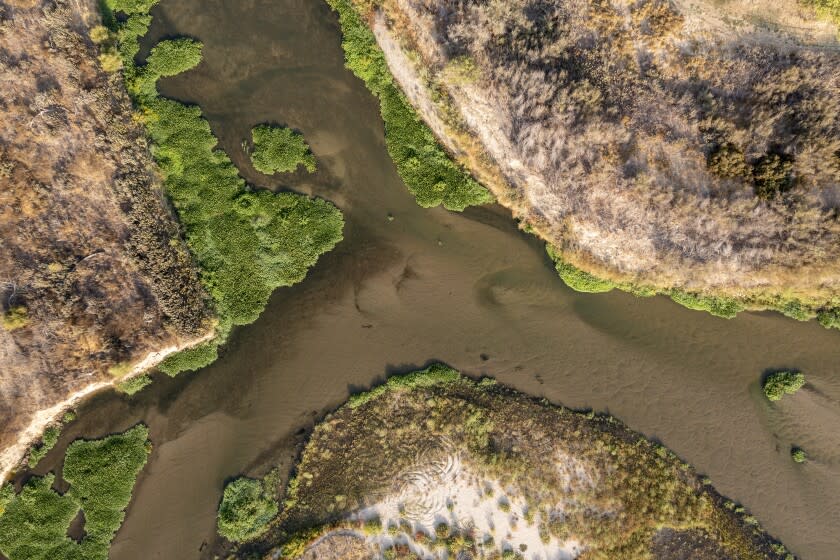 MODESTO, CA - September 21, 2021: The confluence of the San Joaquin River, top, and Tuolumne River, lower left, along the Dos Rios Ranch Tuesday, Sept. 21, 2021 in Modesto, CA. (Brian van der Brug / Los Angeles Times)