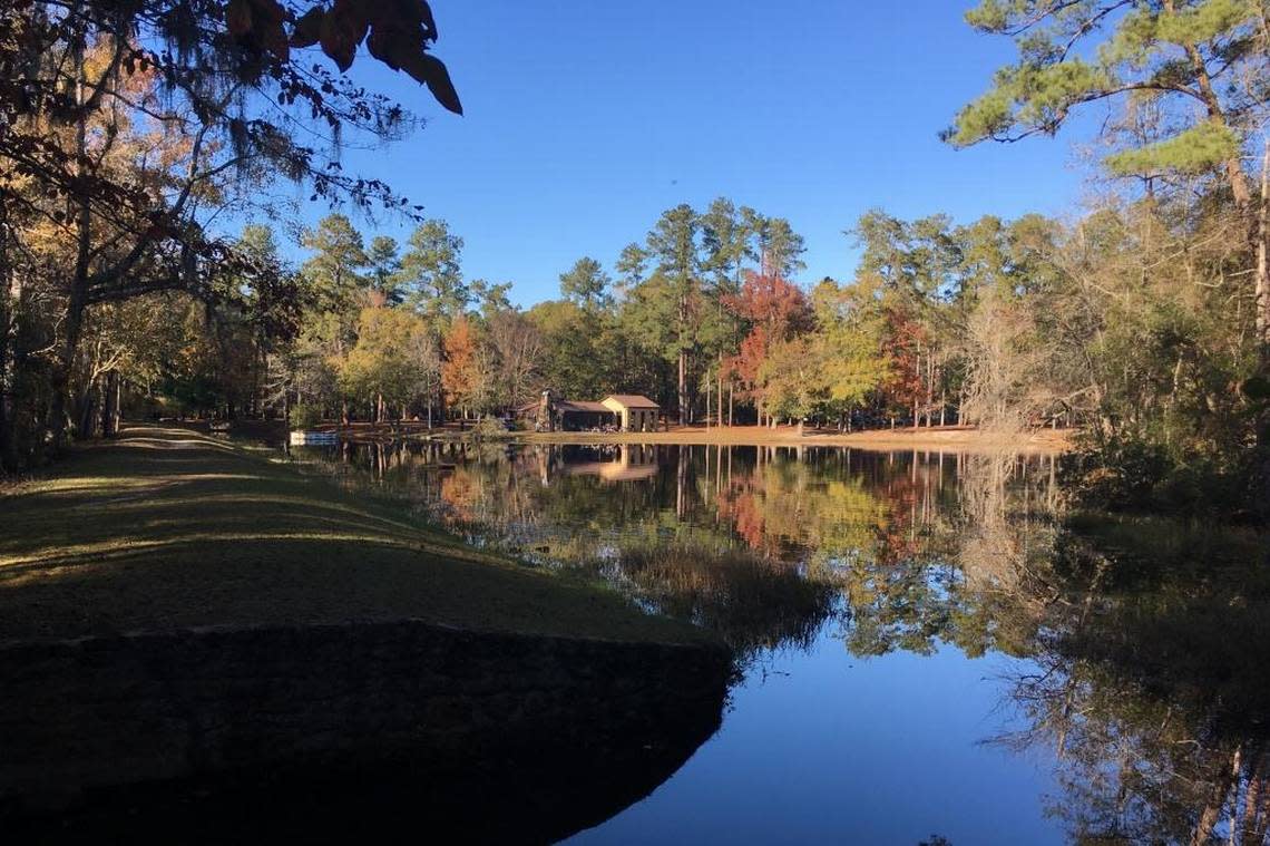 Poinsett State Park is a 1,000 acre park located just two hours from Bluffton in the High Hills of the Santee near Sumter.