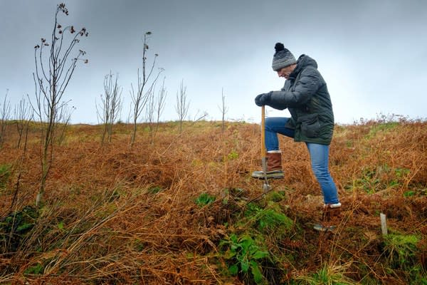 Johnnie Walker Scotch whisky today announced its vision to plant one million trees across the four corners of Scotland before 2025 as part of its ongoing commitment to reduce its carbon footprint.