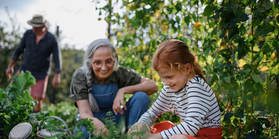 green gardening tips sustainability