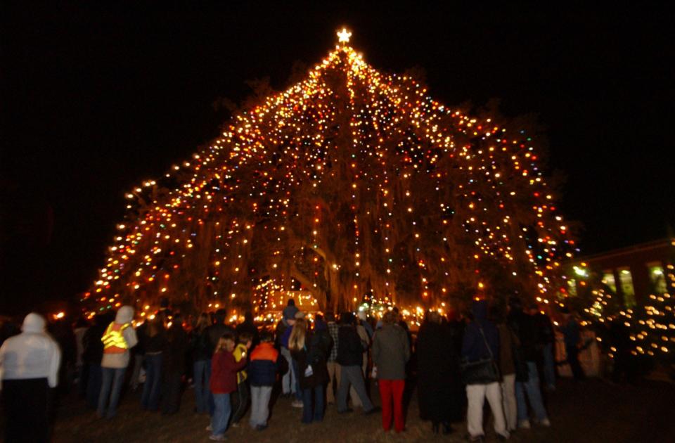 World's Largest Living Christmas Tree in Wilmington, 2000s.