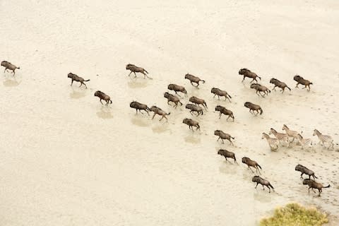 Botswana’s Makgadikgadi salt pans - Credit: getty