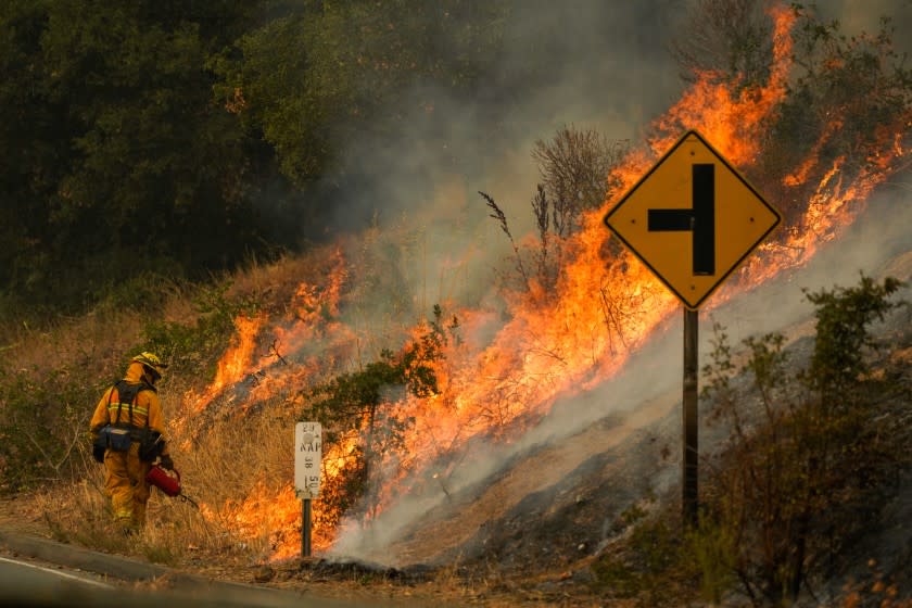 CALISTOGA, CA - SEPTEMBER 29: Firefighter uses a drip torch during a firing operation during the Glass Fire slowly creep across a clearing along Silverado Trail (CA-29) on Tuesday, Sept. 29, 2020 in Calistoga, CA. (Kent Nishimura / Los Angeles Times)