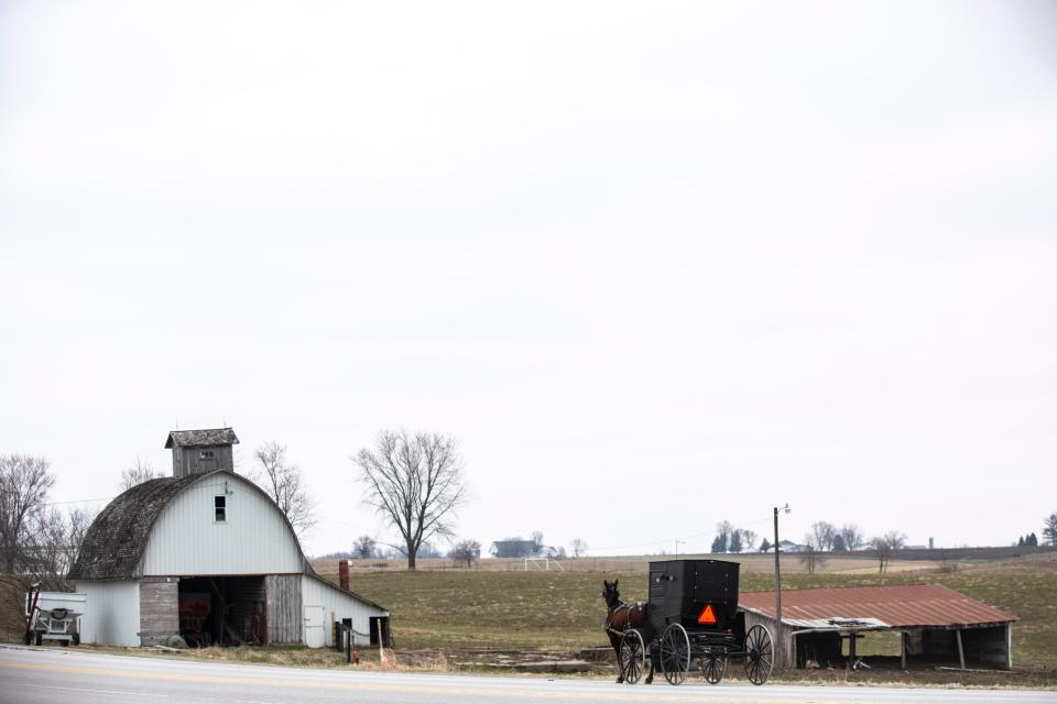 Delhi, a small northeast Iowa town of about 500, is rallying around an Amish community that lost three children and a young father in a crash Friday. This photo of an Amish horse-drawn carriage was taken in 2020 near Kalona.