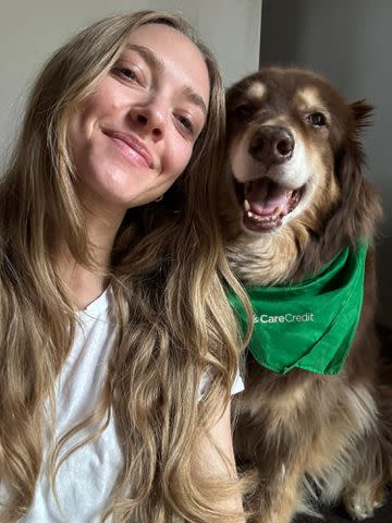 <p>Synchrony’s CareCredit credit card</p> Amanda Seyfried and her dog Finn.