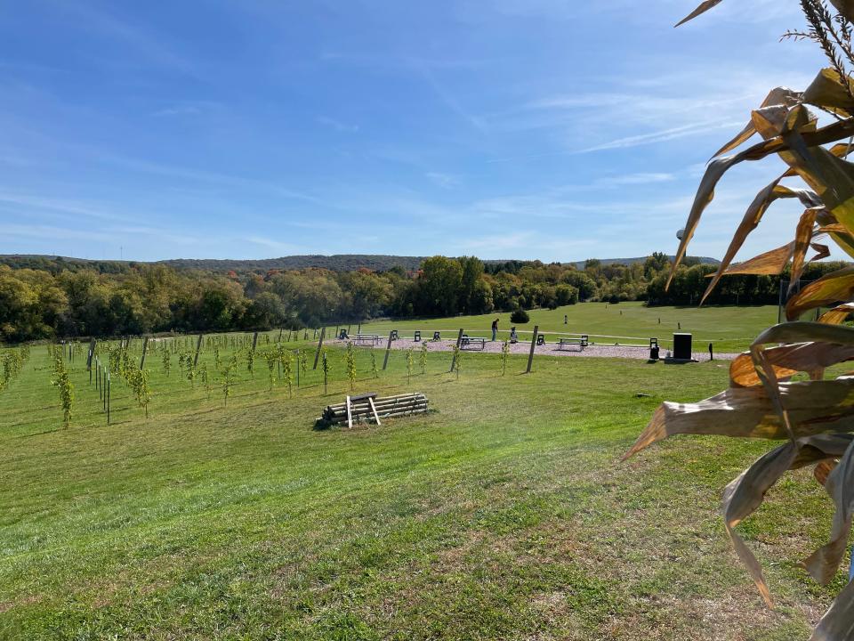 Balanced Rock Winery grows a handful of cold-hardy grapes at their vineyard in Baraboo.