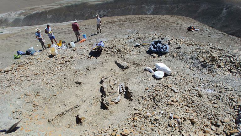 El lugar del hallazgo en la formación geológica La Colonia