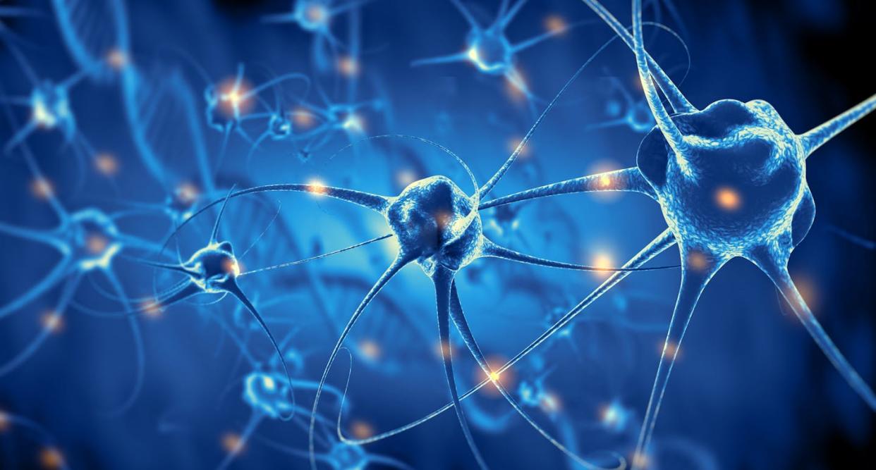 <a href="https://www.shutterstock.com/es/image-illustration/active-nerve-cells-3d-rendering-764353078" rel="nofollow noopener" target="_blank" data-ylk="slk:Giovanni Cancemi/Shutterstock;elm:context_link;itc:0;sec:content-canvas" class="link ">Giovanni Cancemi/Shutterstock</a>