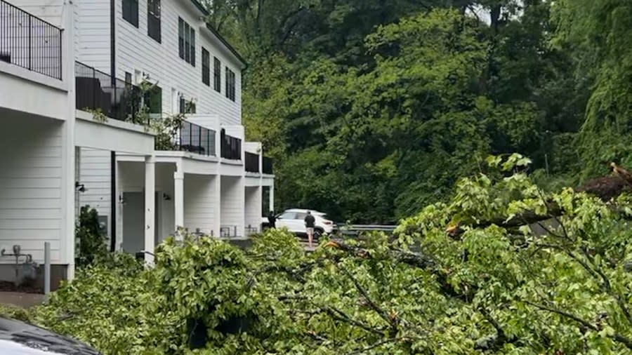 The parking lot of this south Charlotte townhome complex is blocked by a fallen tree.