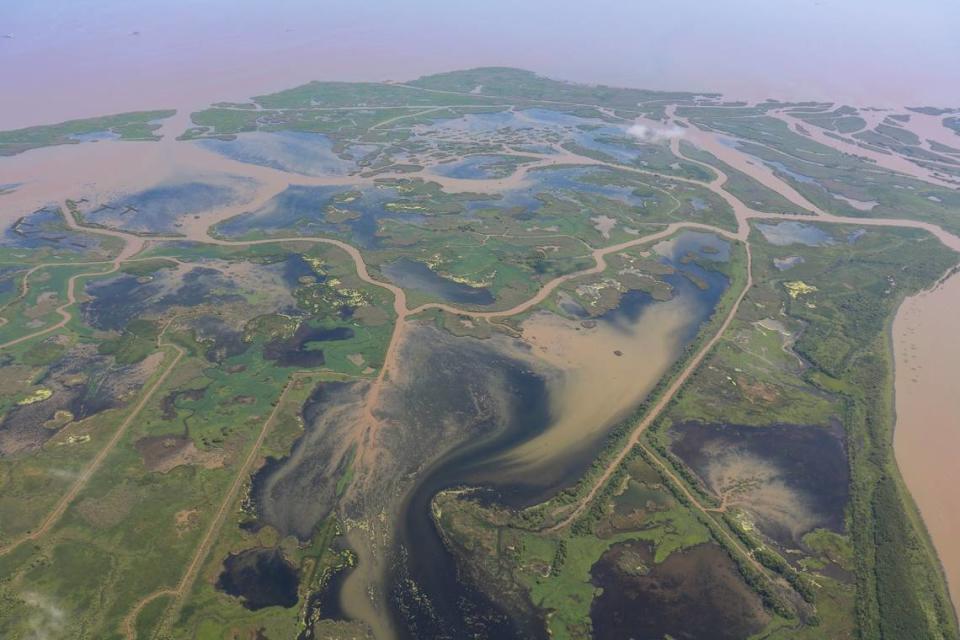 Canals carved by oil and gas companies over the past 100 years, like these in Plaquemines Parish, on June 7, have eroded into open water, contributing to a coastal land loss crisis.