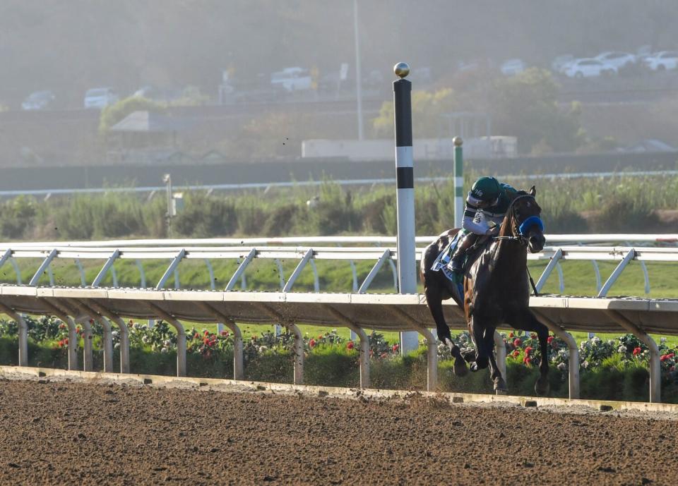 A horse speeds along a dirt track, unchallenged.