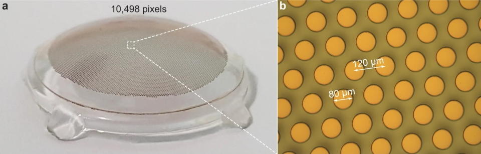 Image showing a close-up of the photovoltaic dots on the retinal implant, labeled as being about 80 microns across each.