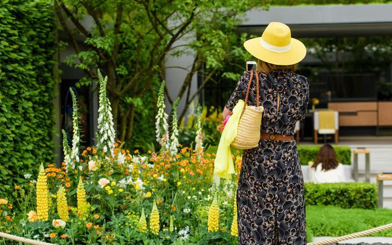 Chelsea Flower Show - RHS/Georgie Mabee