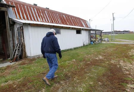 Hugh Byron, a retired dairy farmer, walks past an old dairy barn on the farm where he still raises soybean and hay, in Hillsboro, Kentucky November 13, 2014. REUTERS/John Sommers II